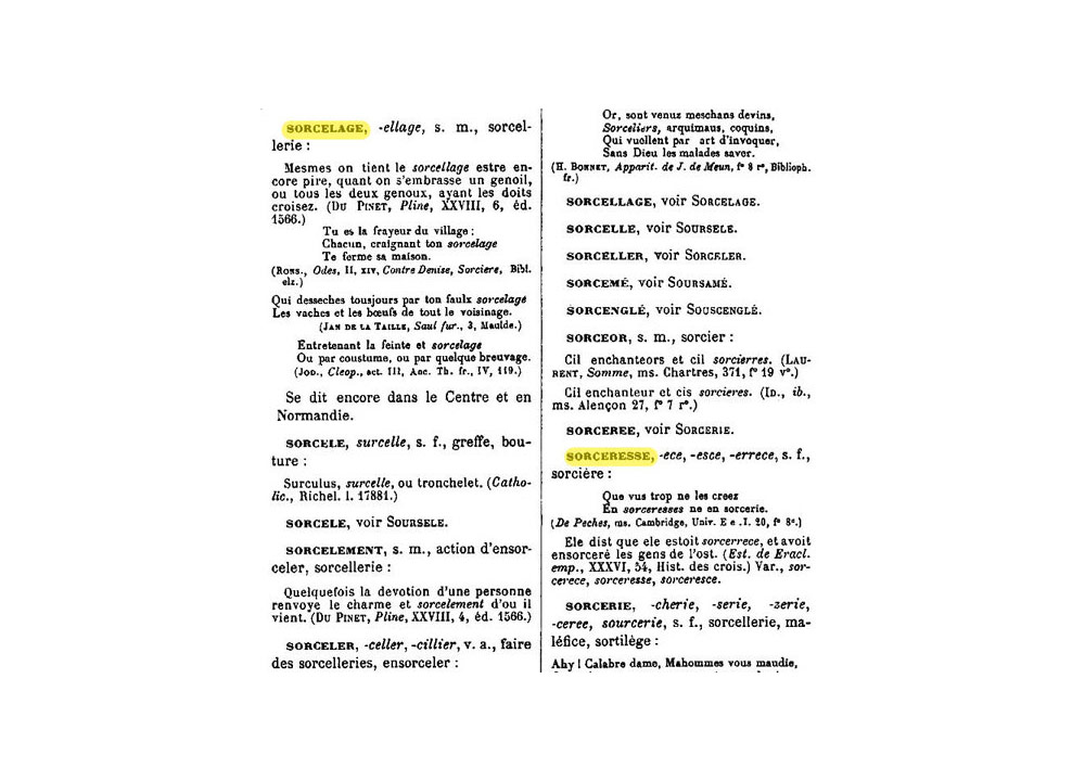 Dictionnaire de l'ancienne langue française et de tous ses dialectes du IXe au XVe siècle, Frédéric Godefroy, 1880-1895, volume 7, page 478.
